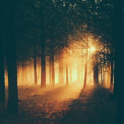 战火英雄2中文版