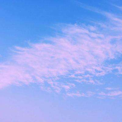 金贝体育官方网站登录