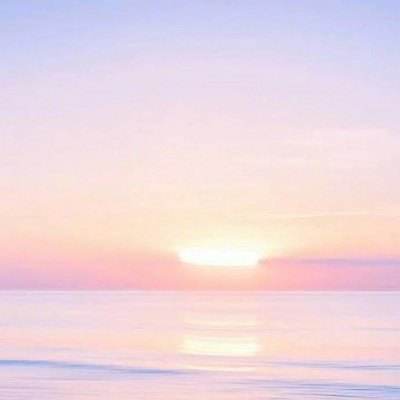 金贝体育官方网站登录