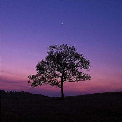 金贝体育官方网站登录