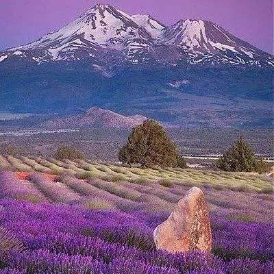 海绵宝宝消消看