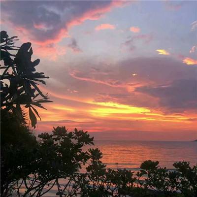 吸物能力者2无敌版