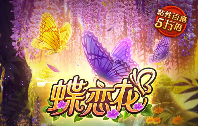三晟体育app